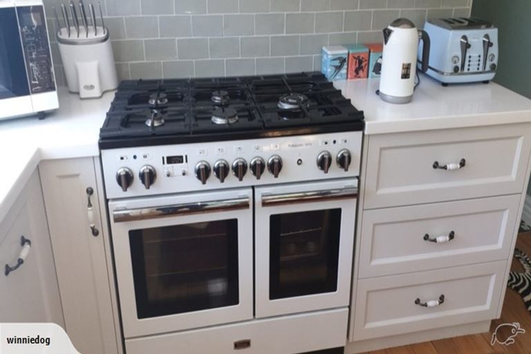 Photo of property in 7 Lothian Street, Maori Hill, Dunedin, 9010