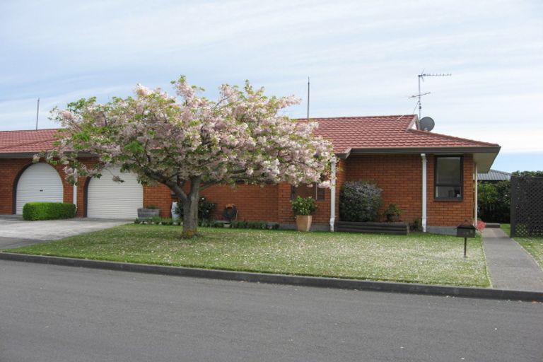 Photo of property in 42 Brooklyn Drive, Redwoodtown, Blenheim, 7201