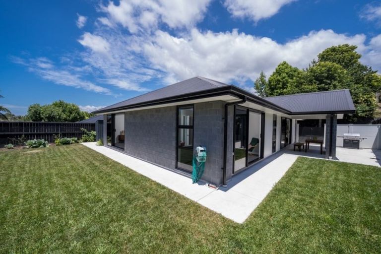 Photo of property in 6 Peter Burke Way, Pyes Pa, Tauranga, 3112