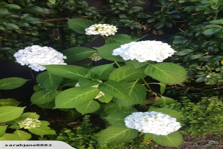 Photo of property in 70 Park Road, Miramar, Wellington, 6022