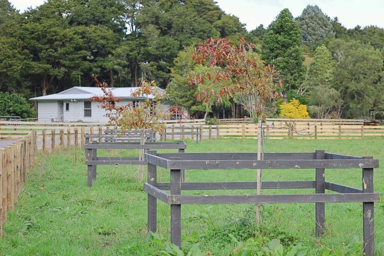 Photo of property in 519 Kara Road, Maungatapere, Whangarei, 0179