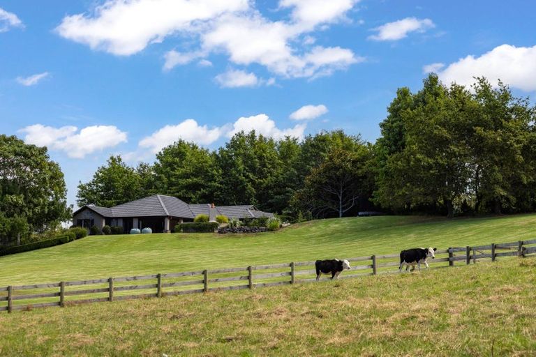 Photo of property in 41 Berenice Lane, Riverhead, Albany, 0793