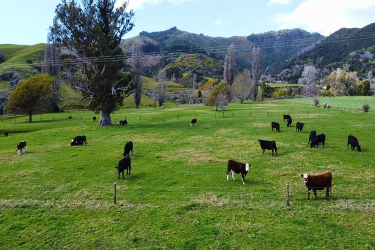 Photo of property in 706 Abel Tasman Drive, Clifton, Takaka, 7183