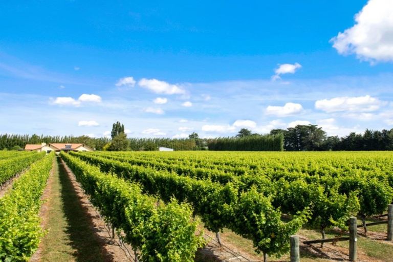 Photo of property in 91 Hillocks Road, Spring Creek, Blenheim, 7273