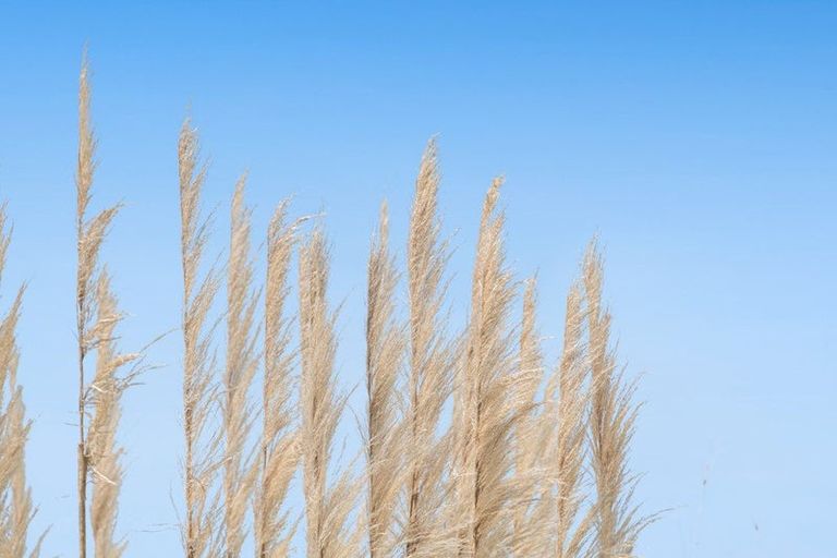 Photo of property in 2265 South Head Road, South Head, Helensville, 0874