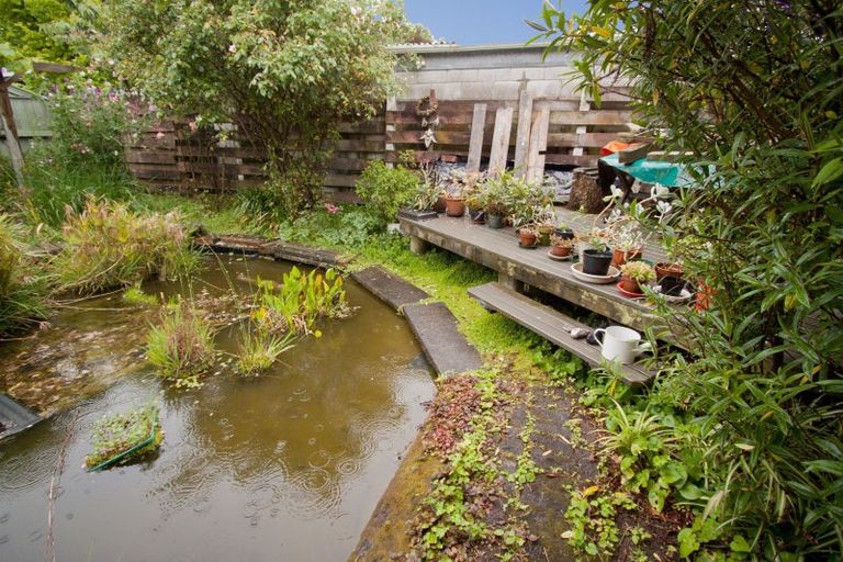 Photo of property in 49 Worcester Street, Ashhurst, 4810