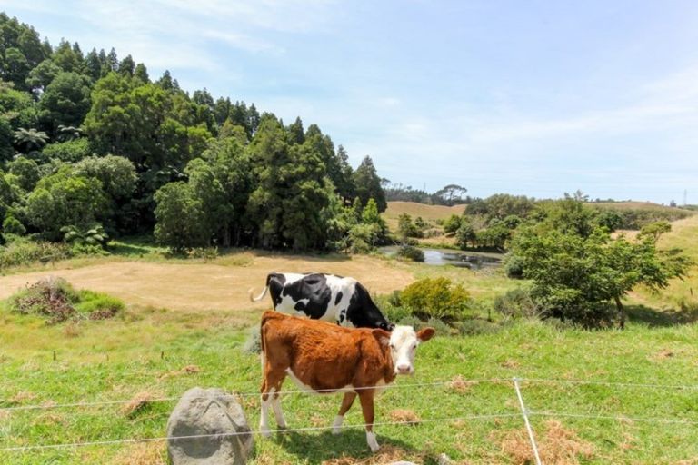 Photo of property in 31 Sealy Road, Omata, New Plymouth, 4374