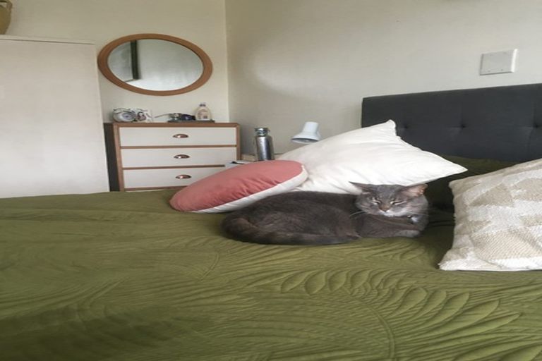 Photo of property in 496 Evans Bay Parade, Hataitai, Wellington, 6021