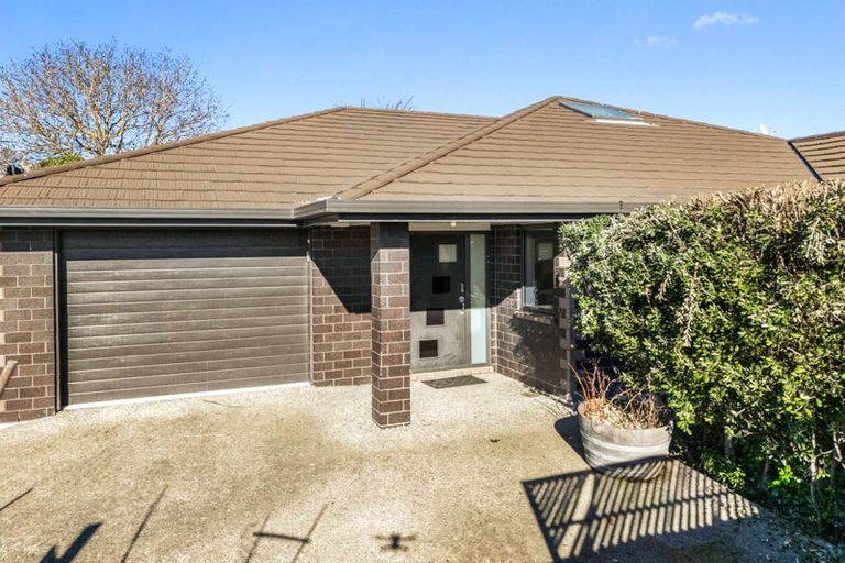 Photo of property in 7b Oudenarde Street, Renwick, 7204