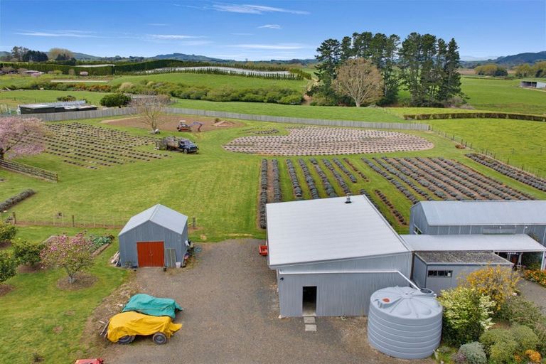 Photo of property in 169 Brotherhood Road, Kihikihi, Te Awamutu, 3875