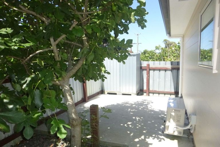 Photo of property in 282a Oxford Terrace, Avalon, Lower Hutt, 5011