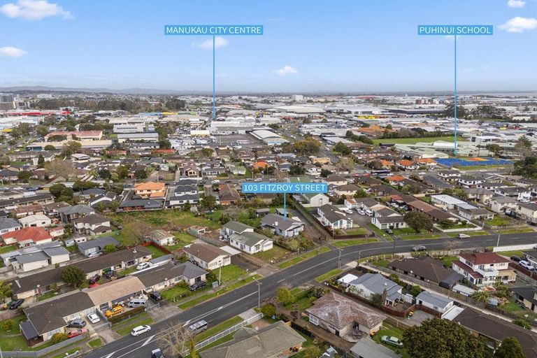 Photo of property in 103 Fitzroy Street, Papatoetoe, Auckland, 2104