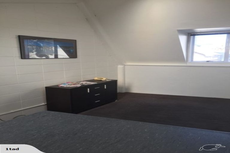 Photo of property in 12a Douglas Street, Levin, 5510