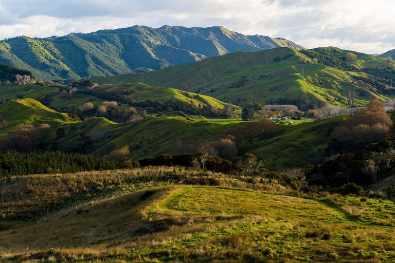 Photo of property in 276 Gaddums Hill Road, Outer Kaiti, Gisborne, 4010