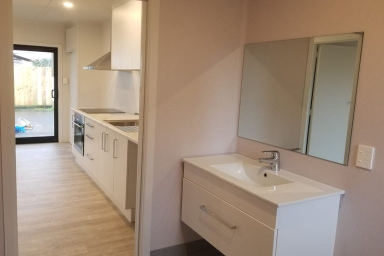 Photo of property in 109 Nixon Street, Hamilton East, Hamilton, 3216