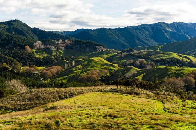 Photo of property in 276 Gaddums Hill Road, Outer Kaiti, Gisborne, 4010