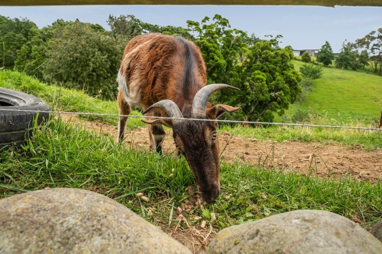 Photo of property in 66 Mcgiven Drive, Ridgewood, New Plymouth, 4371