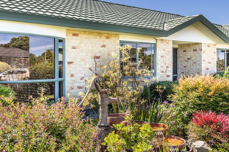 Photo of property in 51 Guildford Drive, Paraparaumu, 5032