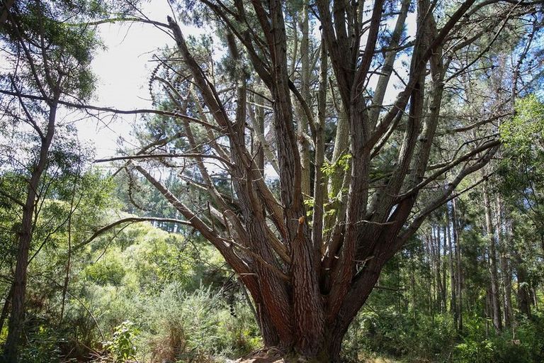 Photo of property in 538 Waiwhero Road, Ngatimoti, Upper Moutere, 7175