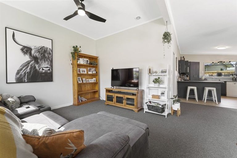 Photo of property in 116 Tarbert Street, Alexandra, 9320