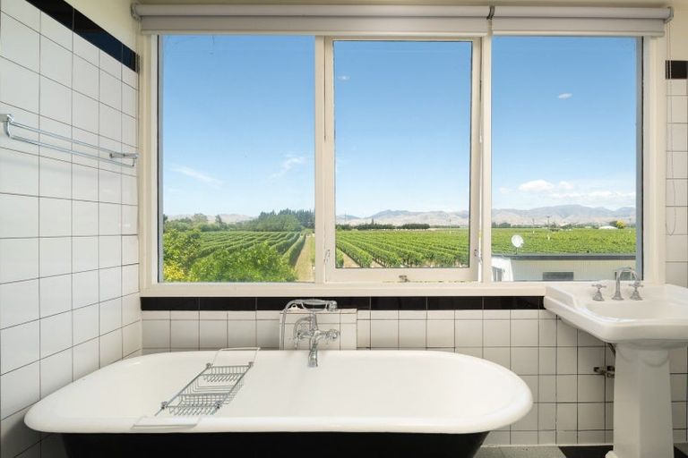 Photo of property in 115 Matthews Lane, Rapaura, Blenheim, 7273