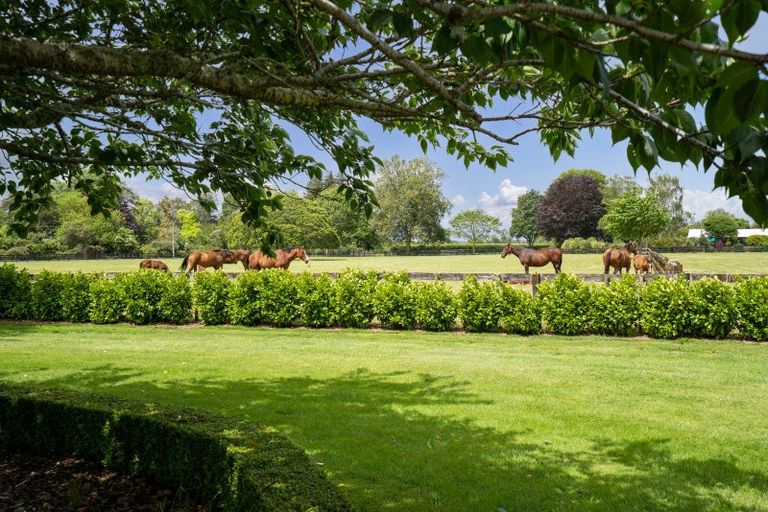 Photo of property in 1/1080 Kaipaki Road, Cambridge, 3495