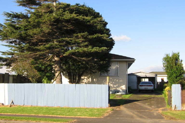 Photo of property in 6 Dissmeyer Drive, Clover Park, Auckland, 2019
