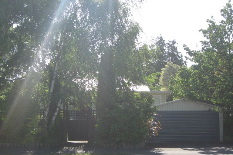 Photo of property in 97 Colombo Street, Somerfield, Christchurch, 8023