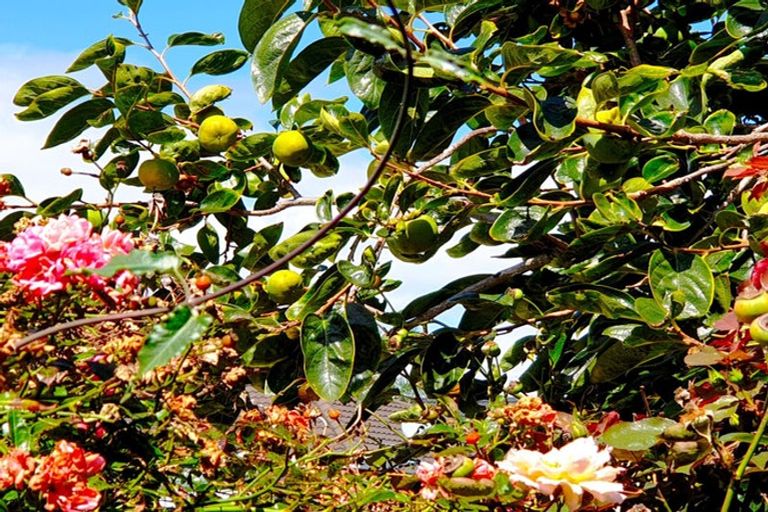 Photo of property in 26 Omagh Avenue, Papatoetoe, Auckland, 2025