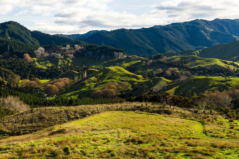 Photo of property in 276 Gaddums Hill Road, Outer Kaiti, Gisborne, 4010