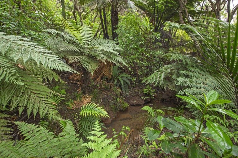 Photo of property in 1615 Whaanga Road, Raglan, 3296