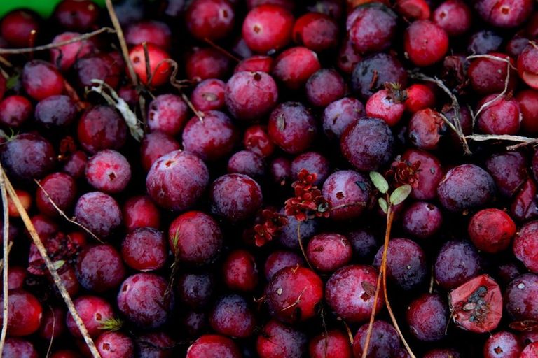 Photo of property in 1218 Old Christchurch Road, Awatuna, Hokitika, 7882