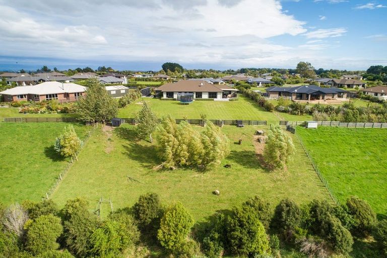Photo of property in 10 Fallow Avenue, Feilding, 4775