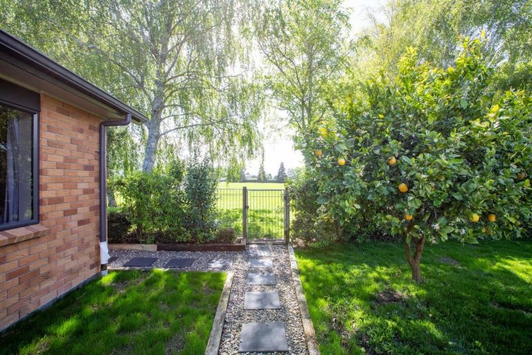 Photo of property in 24a Morris Road, Hillcrest, Hamilton, 3216