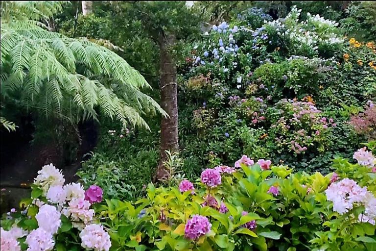 Photo of property in 36a Upland Road, Kelburn, Wellington, 6012