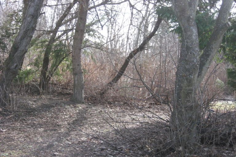 Photo of property in 6 Foyle Street, Naseby, 9396