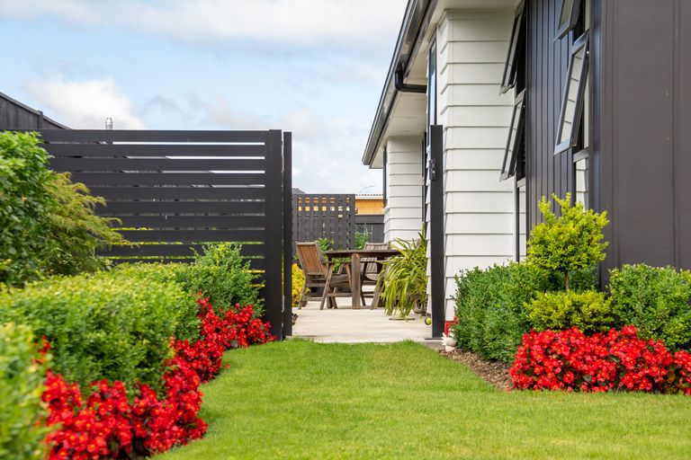 Photo of property in 15 Maple Grove, Kingston, Wellington, 6021