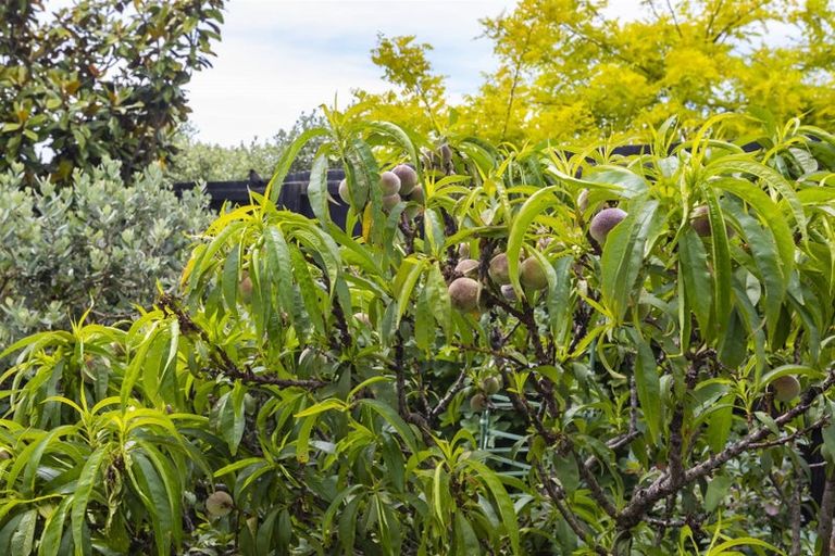 Photo of property in 34 Sioux Avenue, Wigram, Christchurch, 8042