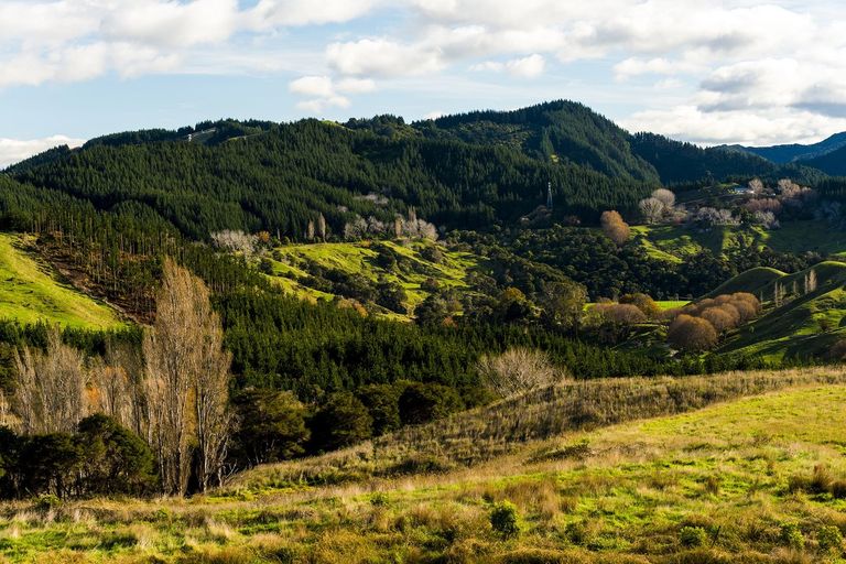 Photo of property in 276 Gaddums Hill Road, Outer Kaiti, Gisborne, 4010