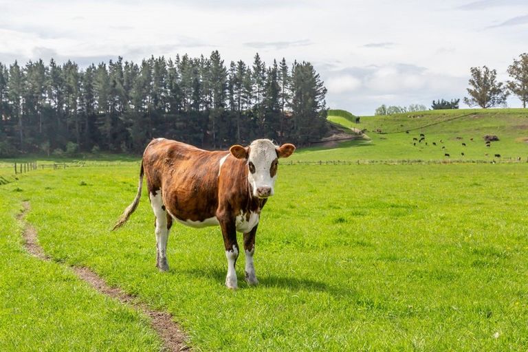 Photo of property in 59 Terrace Road, Cust, Rangiora, 7471