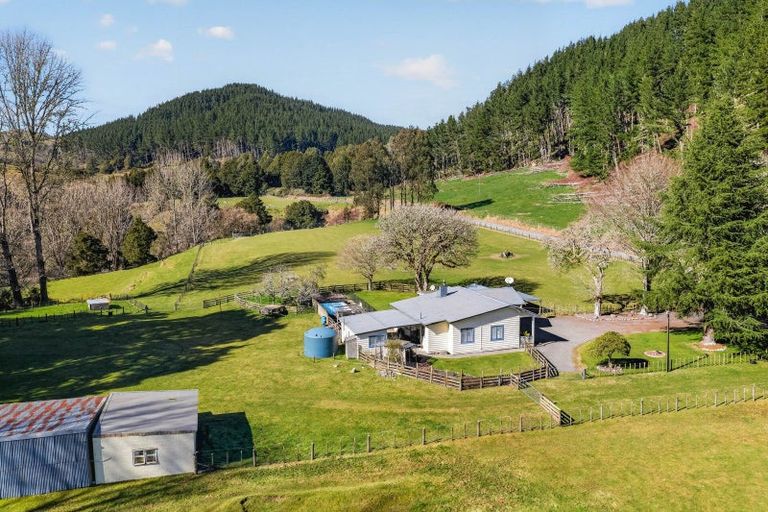 Photo of property in 1513 Hikumutu Road, Hikumutu, Taumarunui, 3992