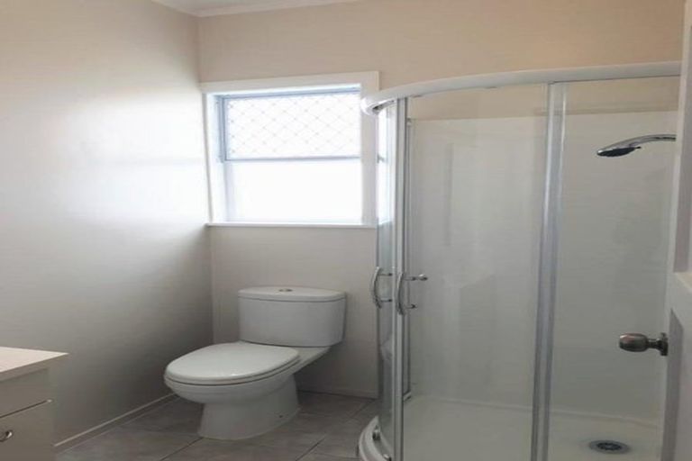 Photo of property in 22a Haig Avenue, Mount Roskill, Auckland, 1041