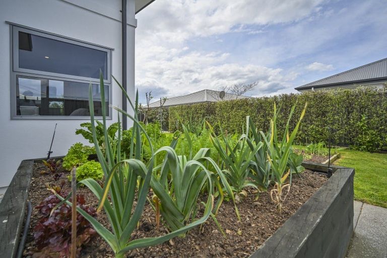 Photo of property in 25 Percy Berry Place, Havelock North, 4130