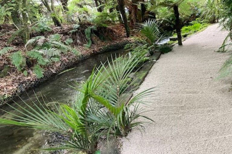 Photo of property in 303 Spencer Road, Lake Tarawera, Rotorua, 3076