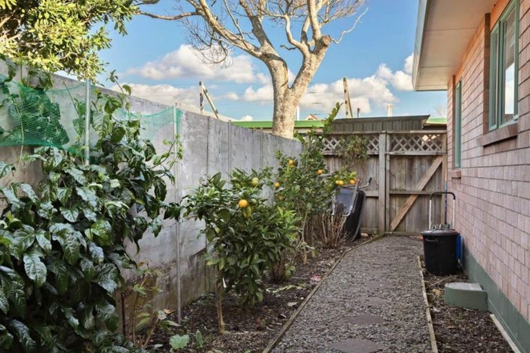 Photo of property in 2h Buckland Road, Tuakau, 2121