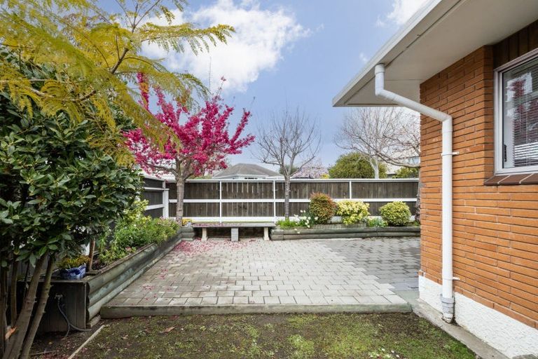 Photo of property in 1/11 Mchardy Street, Havelock North, 4130