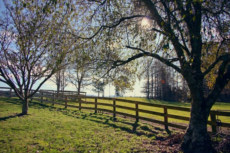 Photo of property in 57 Tiverton Downs Road, Broadlands, Reporoa, 3081