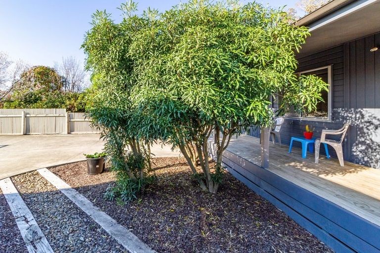 Photo of property in 1009a Konini Street, Mahora, Hastings, 4120