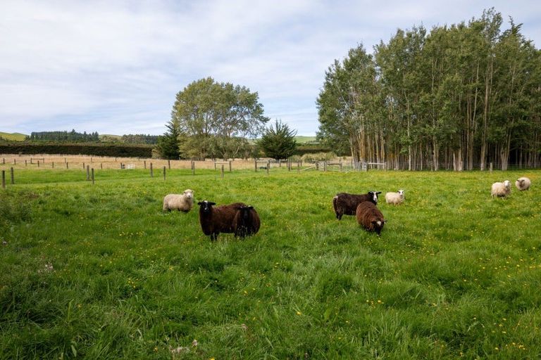 Photo of property in 657 Domett Road, Domett, Cheviot, 7382