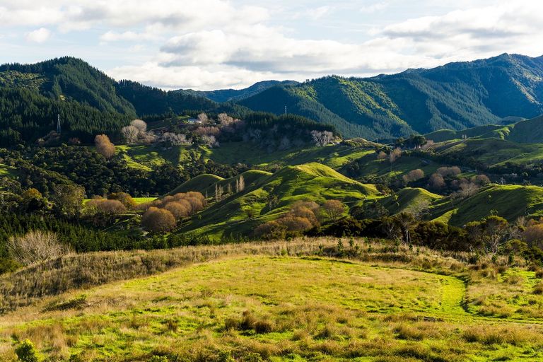 Photo of property in 276 Gaddums Hill Road, Outer Kaiti, Gisborne, 4010